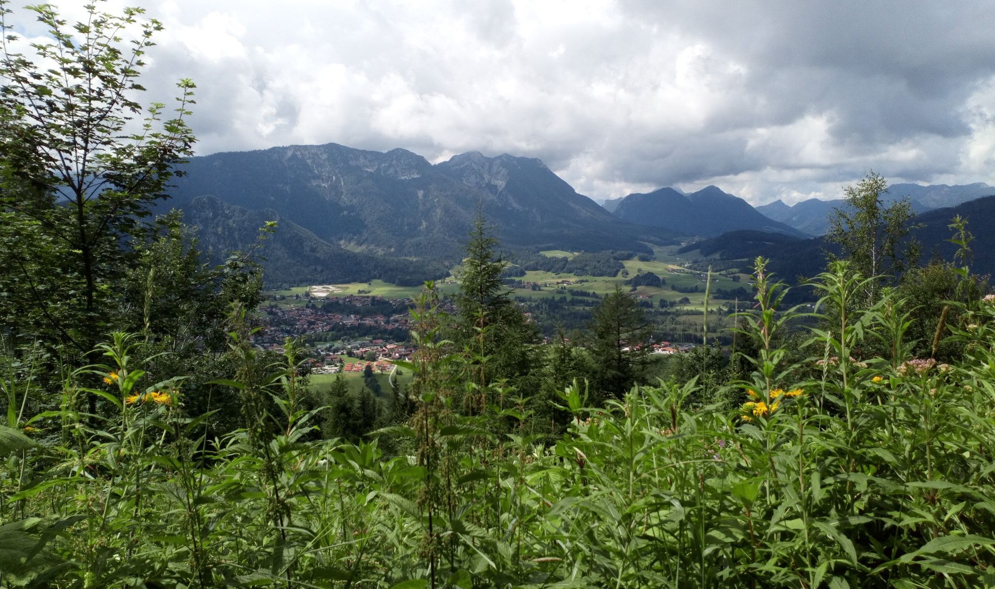 blick unterhalb der Baeckeralm auf Inzell